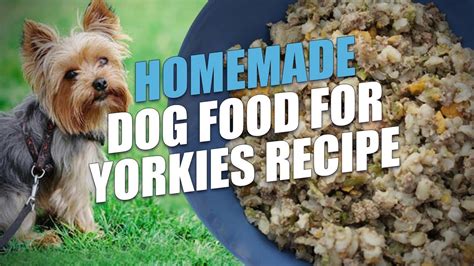 5 Homemade Yorkie Treat Recipes