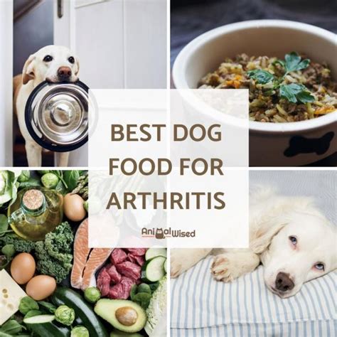 Arthritis Diet for Yorkies