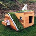 Dog House That Stays Cool