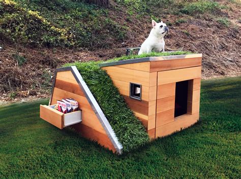 Dog House That Stays Cool