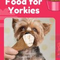 Foods for Yorkie Brain Health