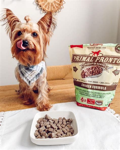 High-Protein Yorkie Diet