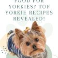 Homemade Yorkie Food Basics