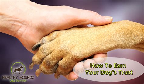 How To Earn A Dogs Trust