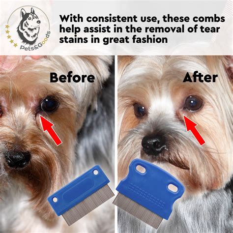 How to Deal with Yorkie Tear Stains