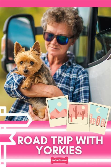 How to Train Your Yorkie for Road Trips