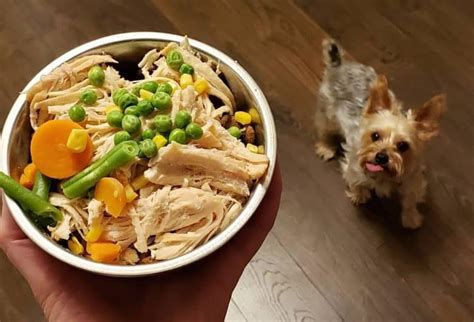 Low-Fat Yorkie Meals