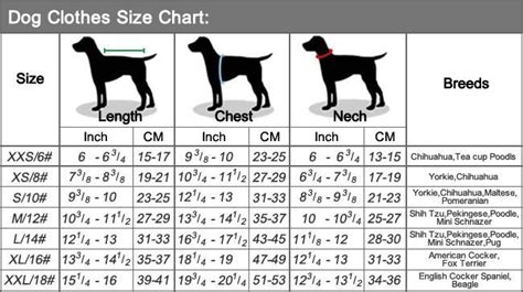 Measure Your Yorkie for Clothes