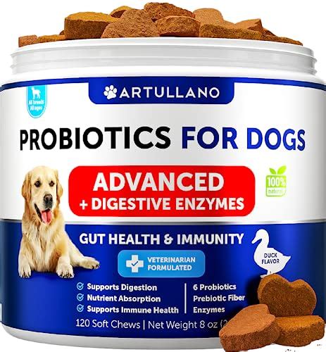 Probiotics for Yorkies