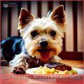 What Can Yorkshire Terriers Eat