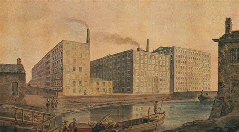 Why Were Yorkies Used in Textile Mills?