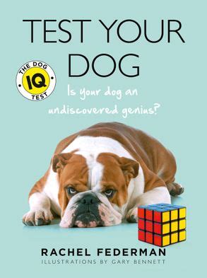 Yorkie Intelligence Test: Is Your Dog a Genius?