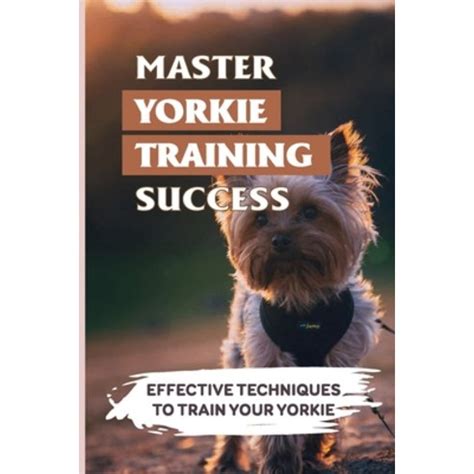 Yorkie training success