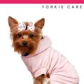 Yorkshire Terriers and Heat: Essential Care Tips