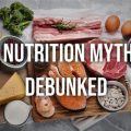 10 Yorkie Nutrition Myths Debunked