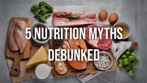 10 Yorkie Nutrition Myths Debunked