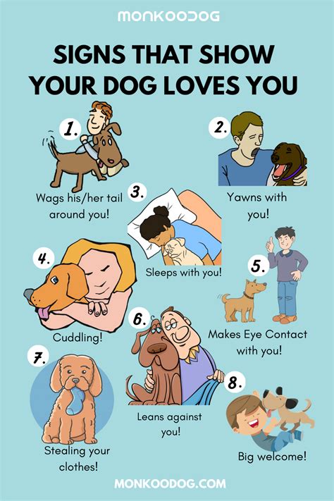 14 Signs Your Dog Really Loves You