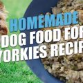 5 Homemade Yorkie Treat Recipes