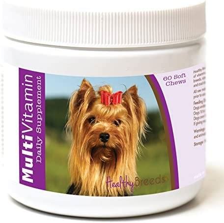 6 Key Vitamins for Yorkie Health