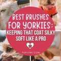 Best Brush Types for Yorkie Grooming