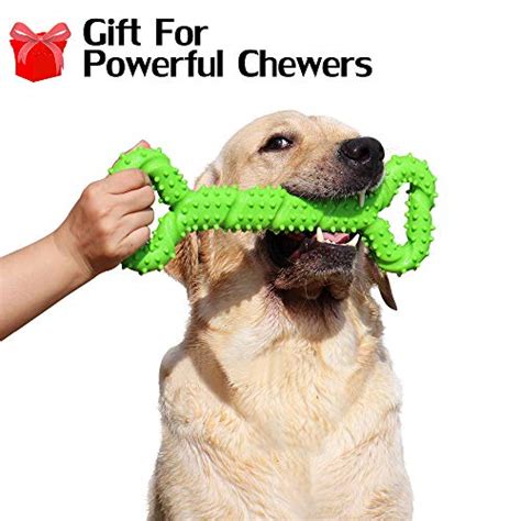 Best Chew Toys For Power Chewers