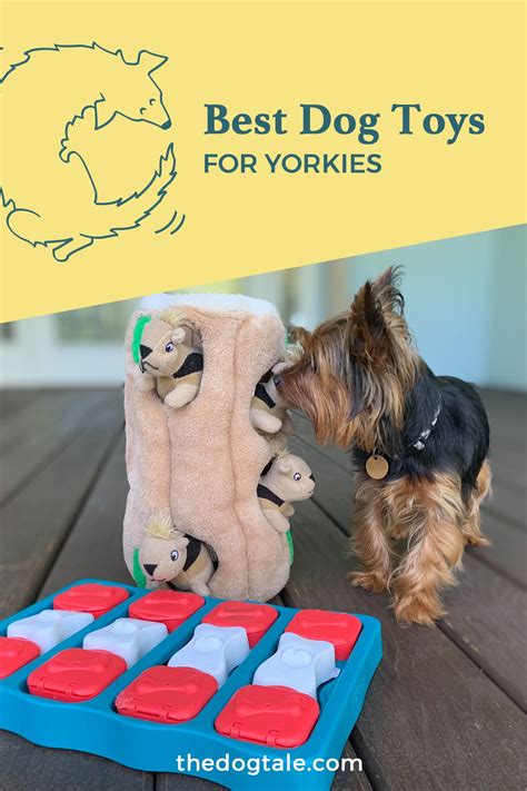 Best Dog Toys For Yorkies