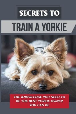 Best Yorkie Training Apps You Need