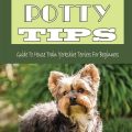 Can You Potty Train A Yorkie