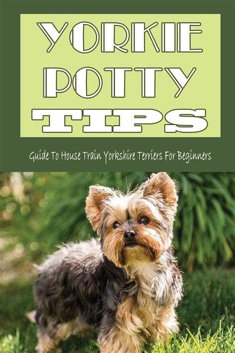 Can You Potty Train A Yorkie