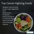 Cancer Fighting Foods for Yorkies