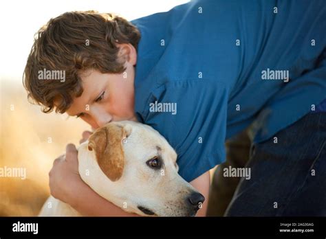 Do Dogs Like Being Kissed On The Head