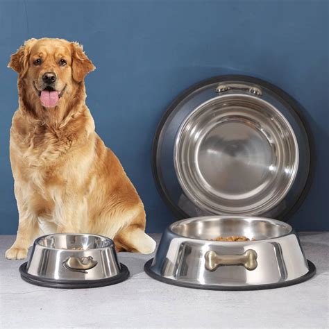 Dog Bowls Stainless Steel Vs. Ceramic