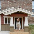 Dog House For Humans