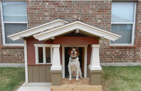 Dog House For Humans