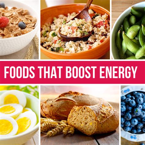 Foods for Yorkie Energy Boost