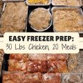 Freezer Meals for Yorkies