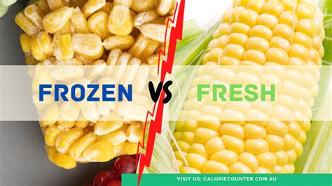 Fresh vs Frozen Yorkie Food