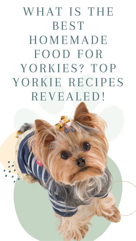 Homemade Yorkie Food Basics