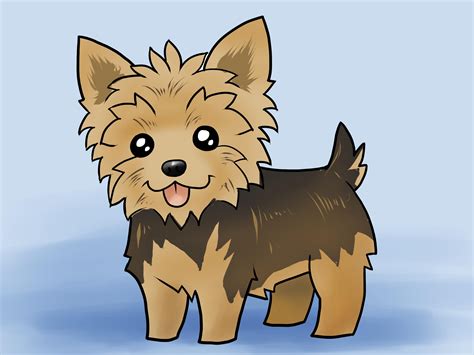 How To Draw A Dog Yorkie