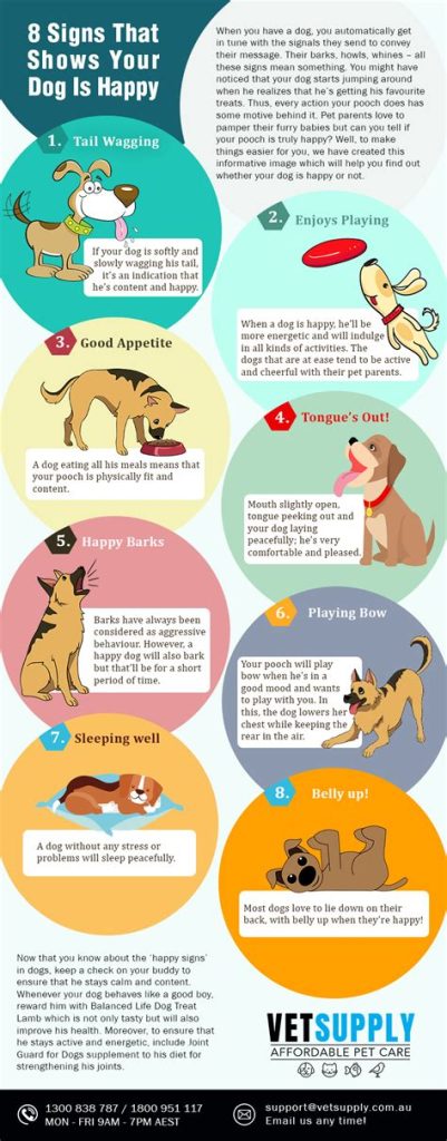 How To Know If Dogs Are Happy