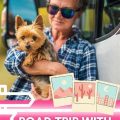 How to Train Your Yorkie for Road Trips