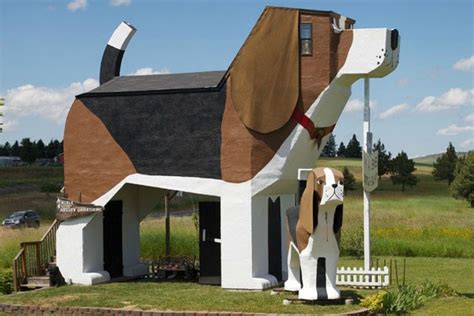 Human Dog House