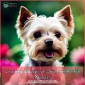 Leading Causes Of Yorkie Health Issues