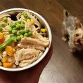 Low-Fat Yorkie Meals