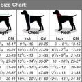 Measure Your Yorkie for Clothes