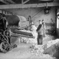 Mill Workers’ Beloved Yorkies