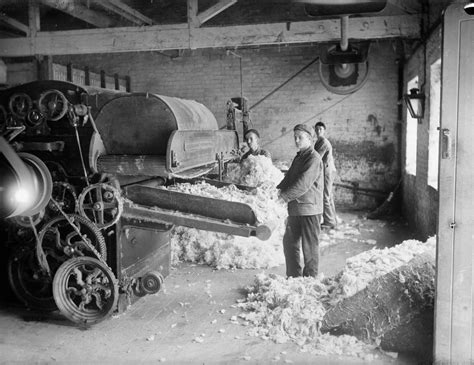 Mill Workers’ Beloved Yorkies