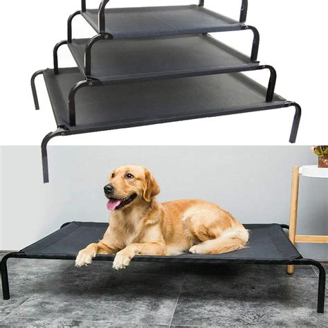 Narrow Dog Bed