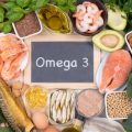 Omega-3 Sources for Yorkies