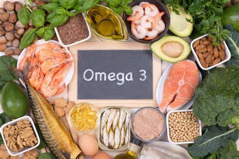 Omega-3 Sources for Yorkies